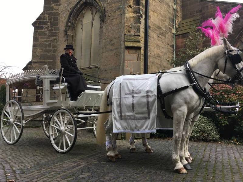 Horse-Drawn Carriage