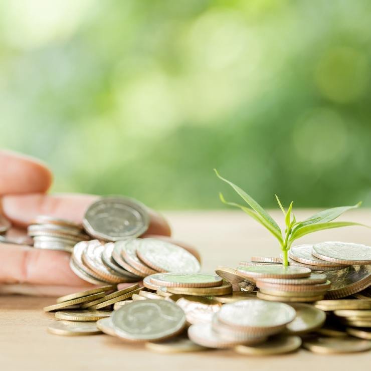 Planting trees on a coin pile with sunlight