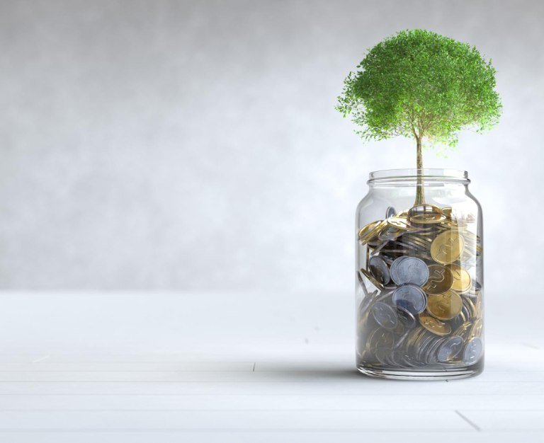 A tree grows on a coin in a glass jar with copy space