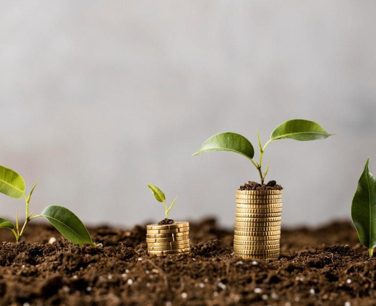 Plants with coins stacked on dirt