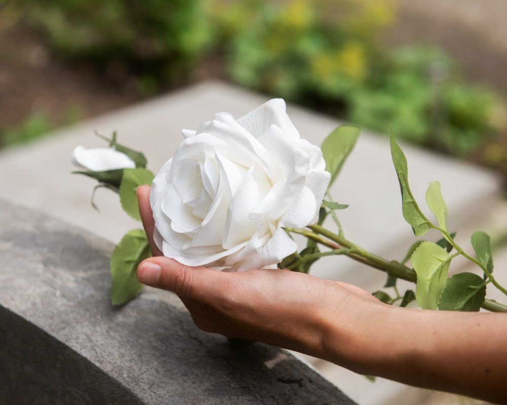 Graveyard background concept (2)